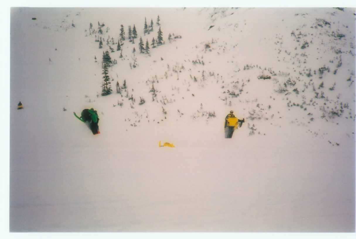 3_sleds_jumping.jpg